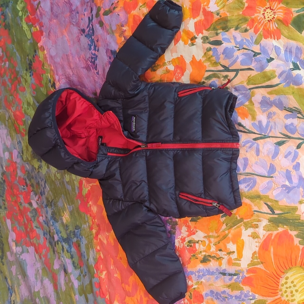 Patagonia Baby Hi-Loft Down Sweater Hoody 2T